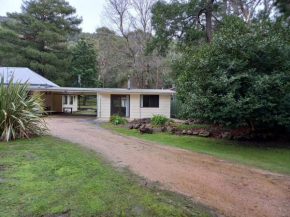 Homefield Cottage Halls Gap